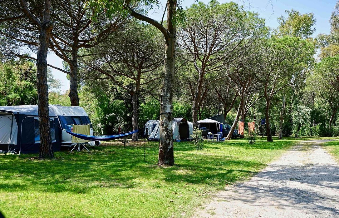 Camping Campo Dei Fiori Vada Exterior foto